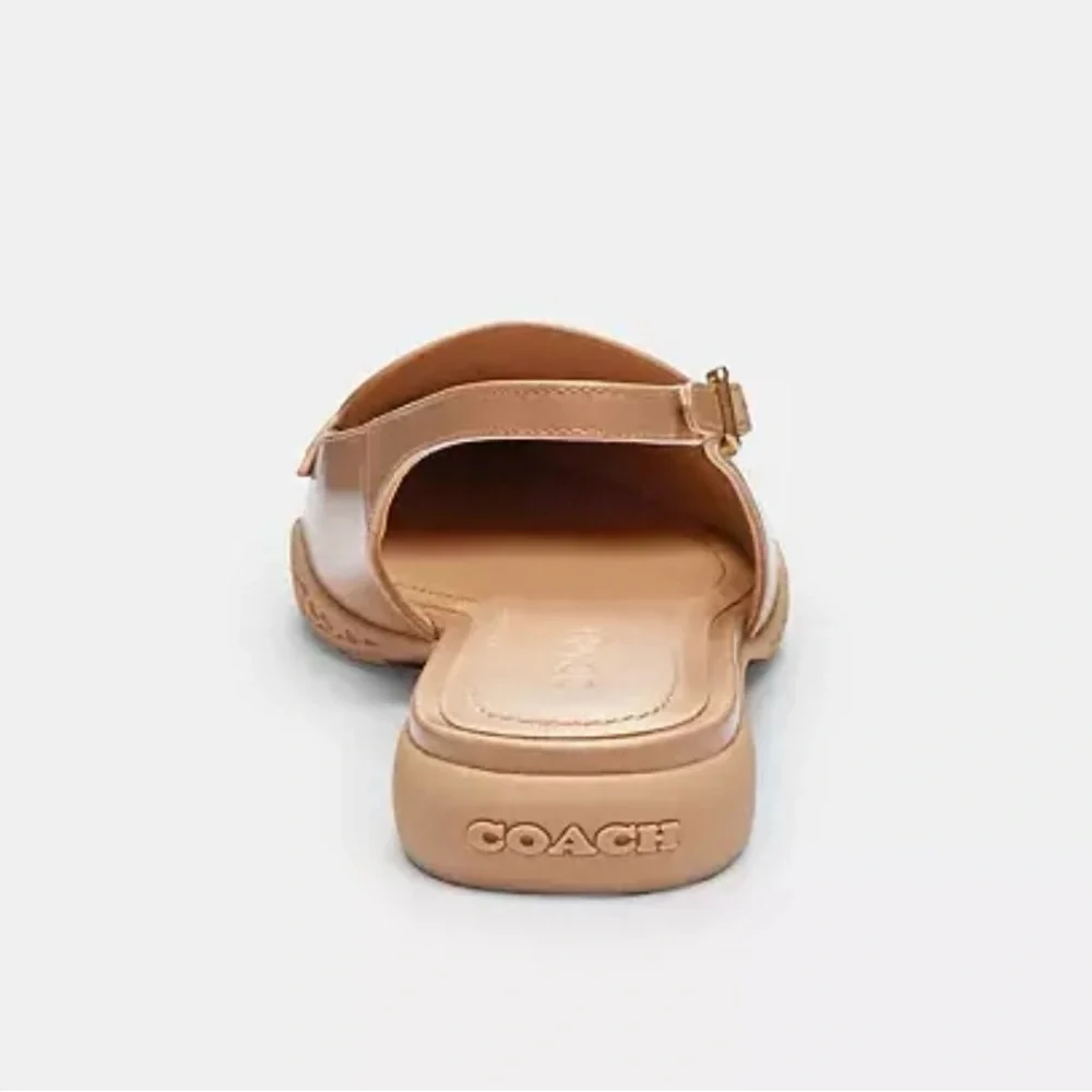 Coach Carrie Skimmer Tan Flats with Pointed Toe and Decorative Accent - Picture 5 of 5